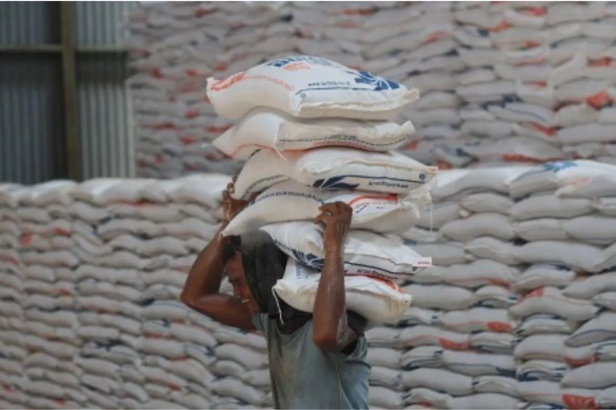 Pemerintah Naikkan Margin Bulog Jadi 7% untuk Jaga Harga Beras