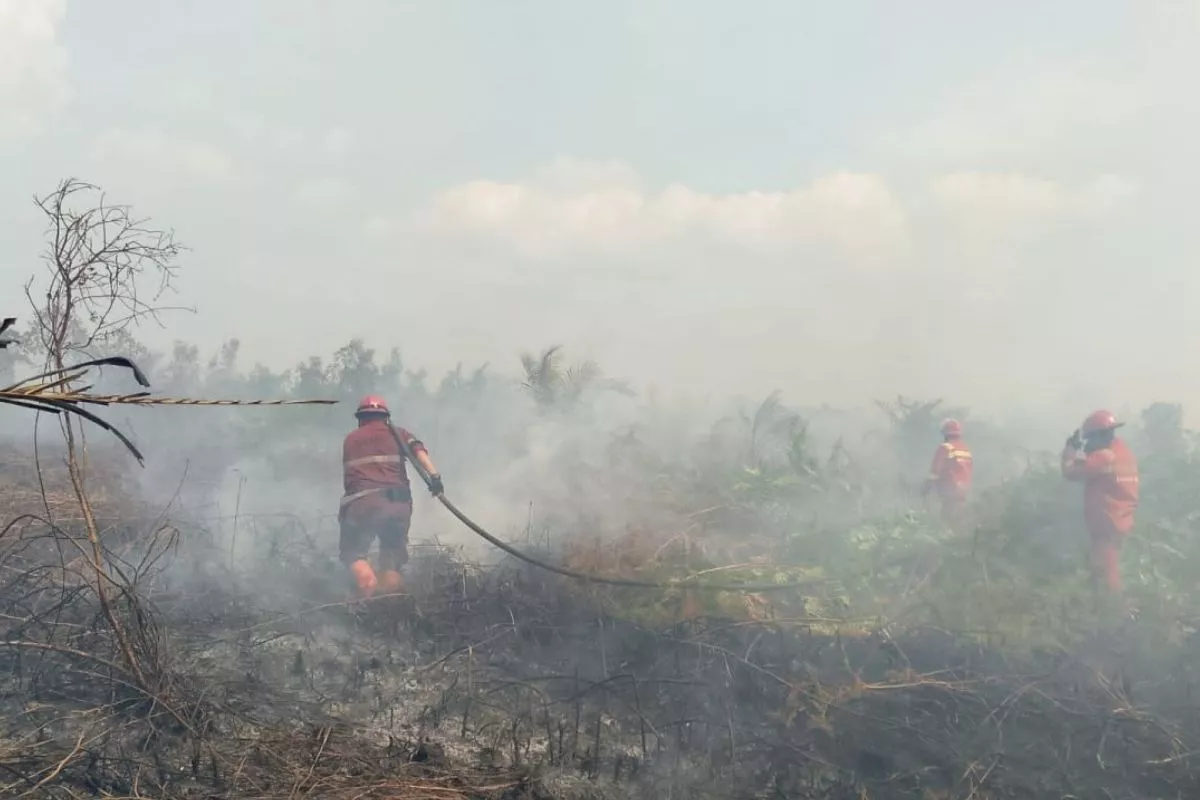 Hotspot Karhutla Turun, Menhut Minta Petugas Tetap Waspada