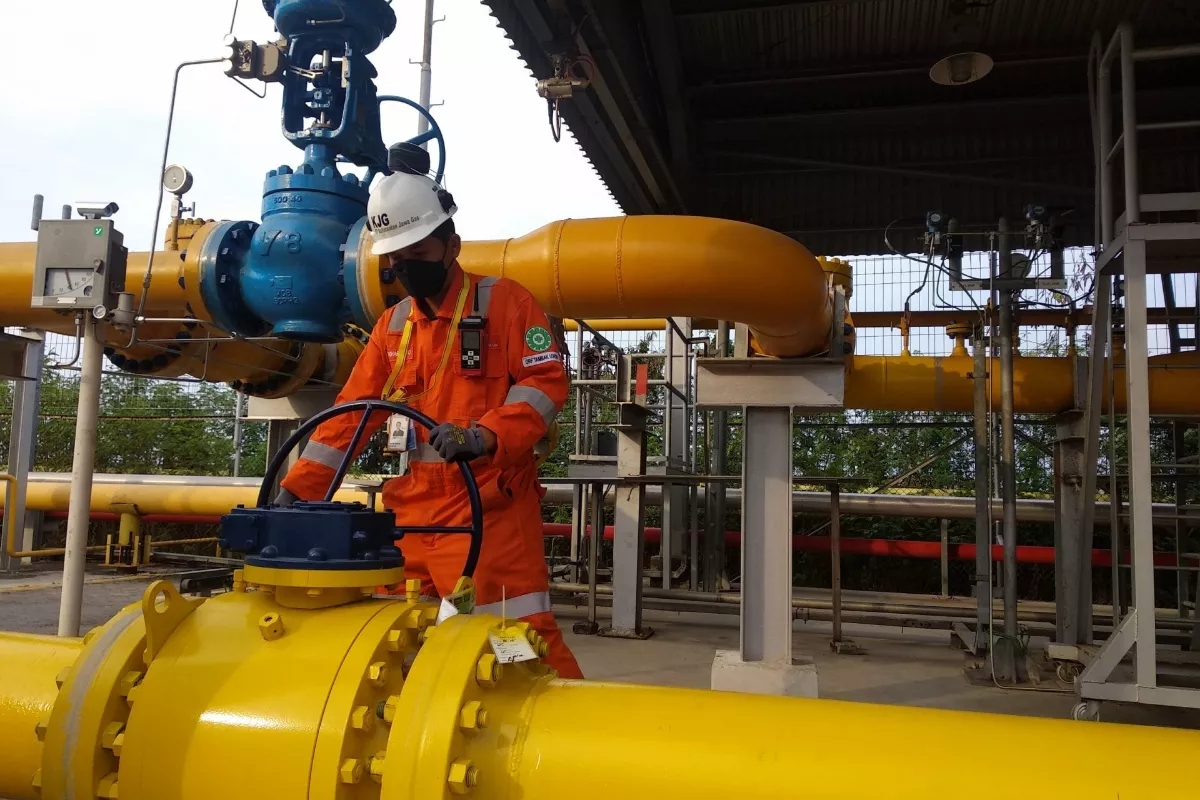 Sinergi Migas dan EBT Kokohkan Ketahanan Energi Nasional