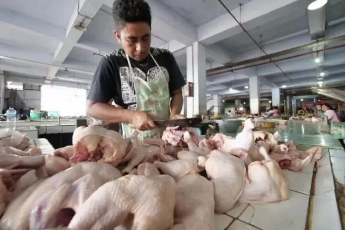 Kenaikan Harga Daging Ayam Ras di Madiun Dikeluhkan Banyak Pedagang