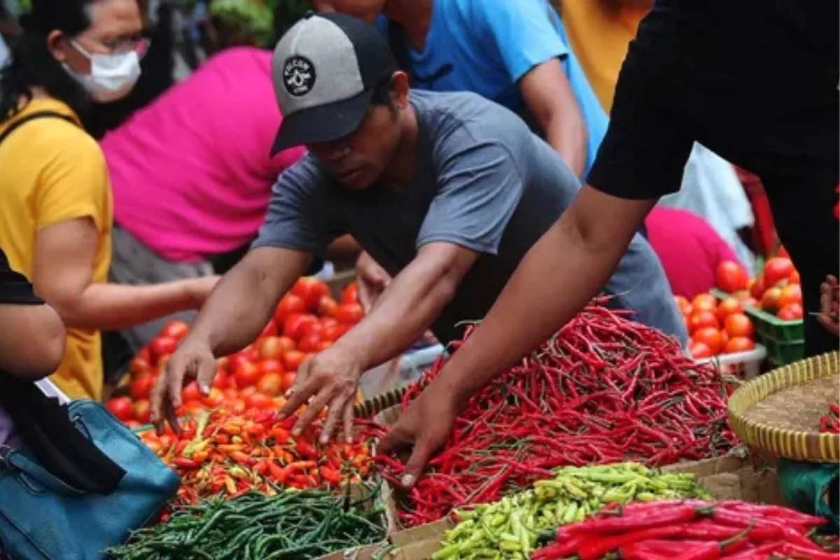 Cabai Rawit Merah Melonjak ke Rp69.950/Kg, Cek Harga Pangan Hari Ini