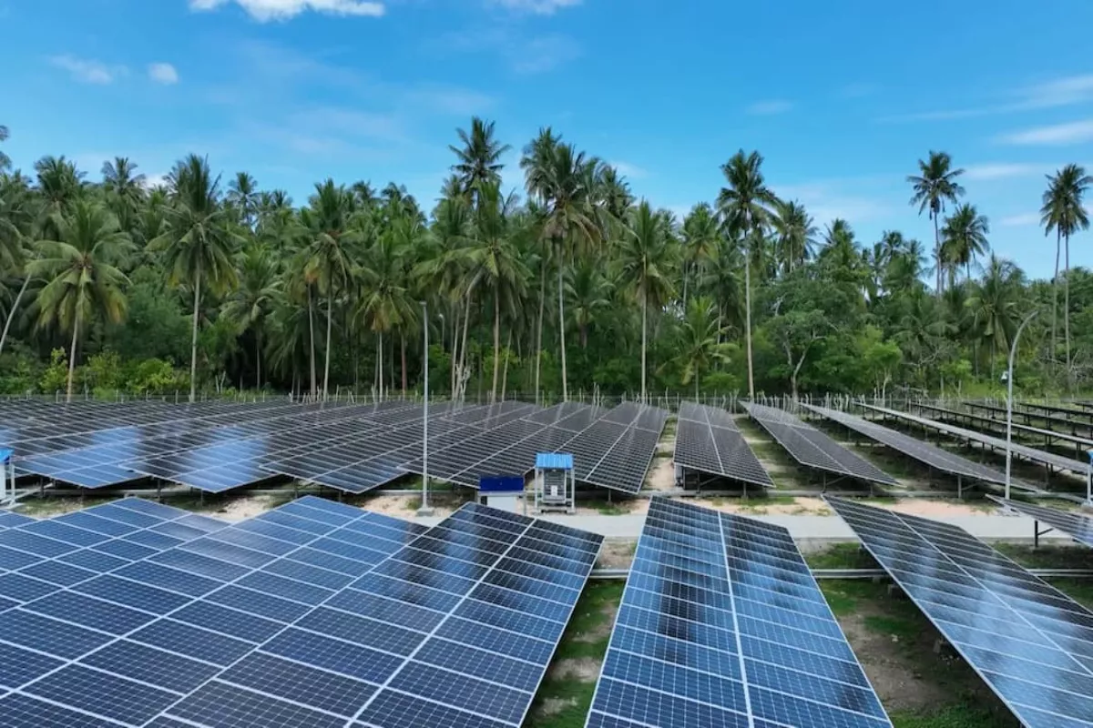 PLN IP Kembangkan PLTS Off-Grid Pembuka Peluang Pasar Karbon