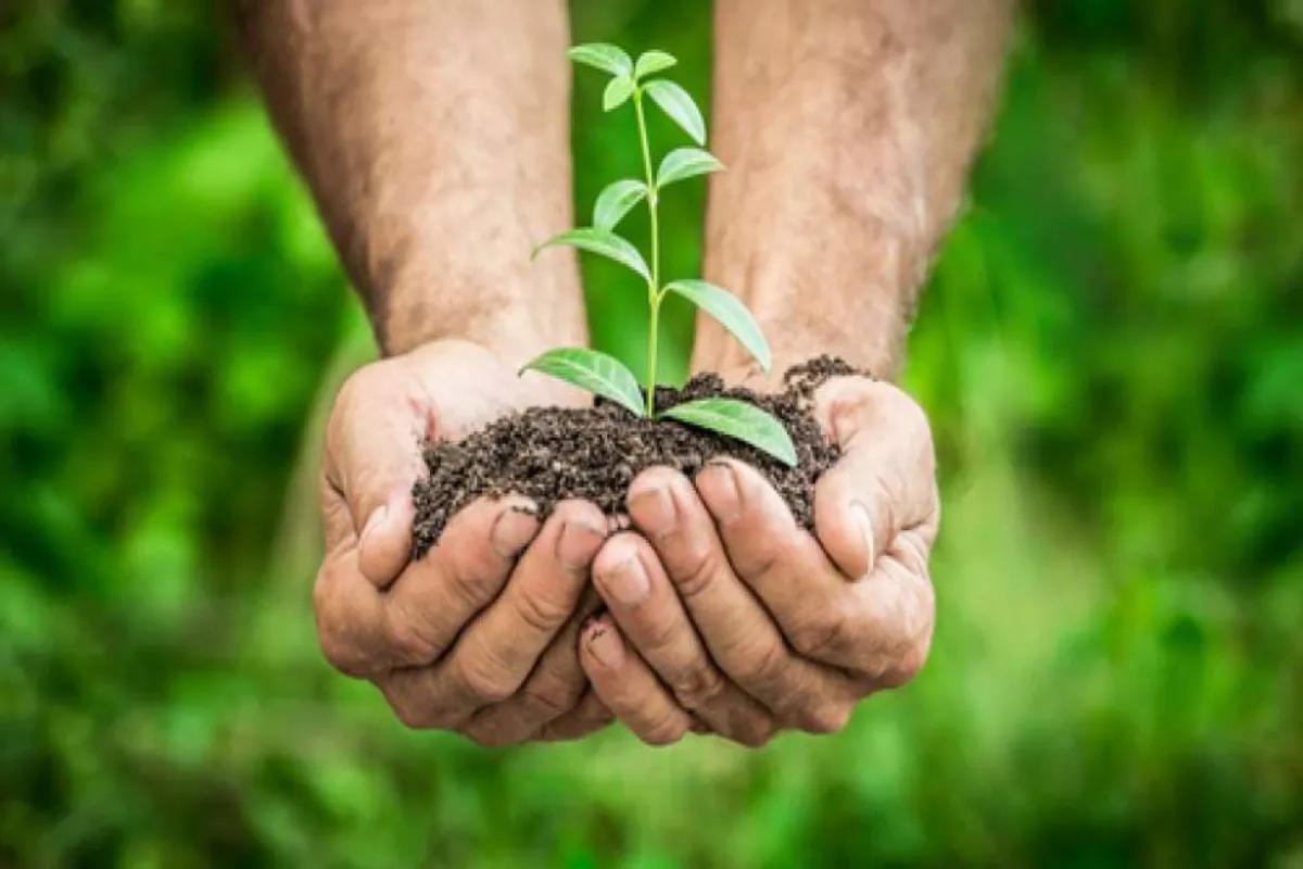 Daftar Negara Pemilik Sumber Daya Alam Terbanyak, Rusia Peringkat 1