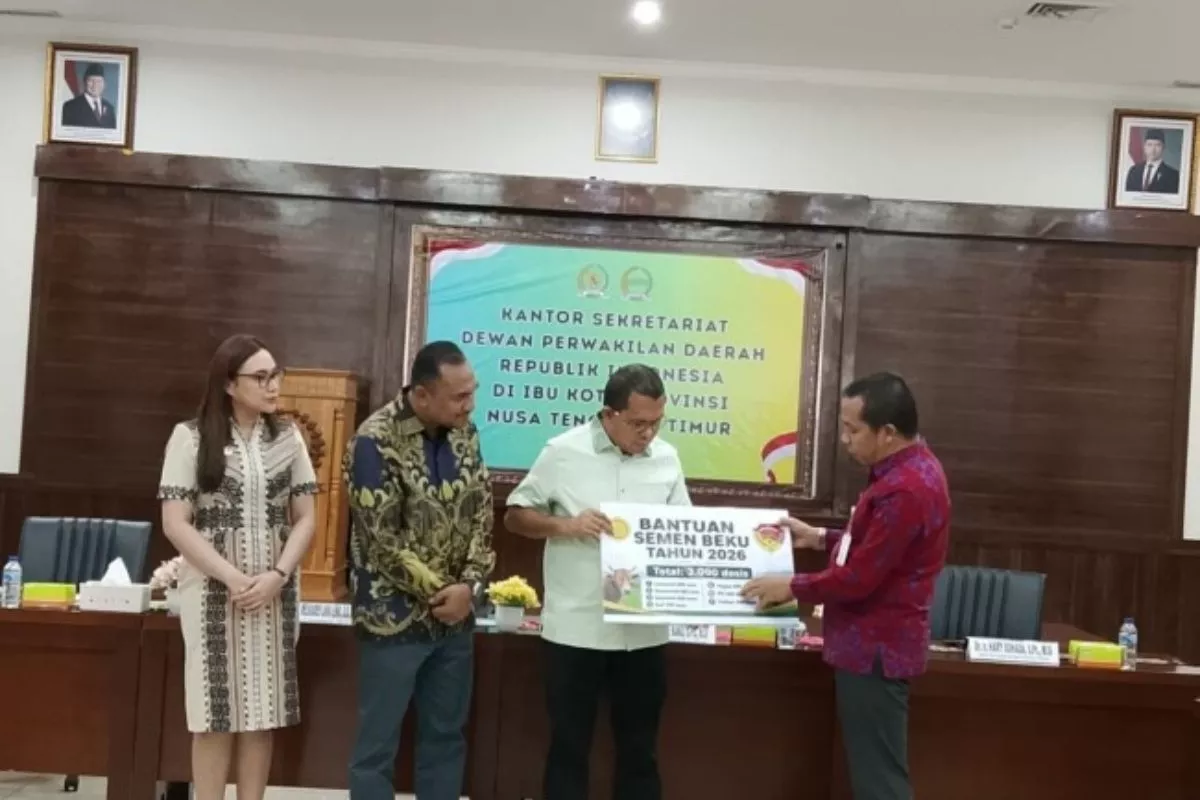 Kementan Salurkan Bantuan 3000 Dosis Semen Beku Sapi untuk Wilayah NTT