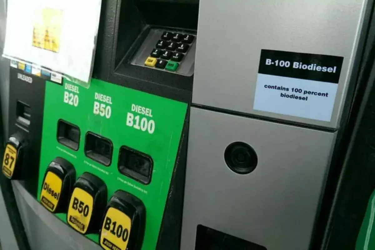 Implementasi B50 Tekan Impor Solar dan Perkuat Ketahanan Energi Nasional