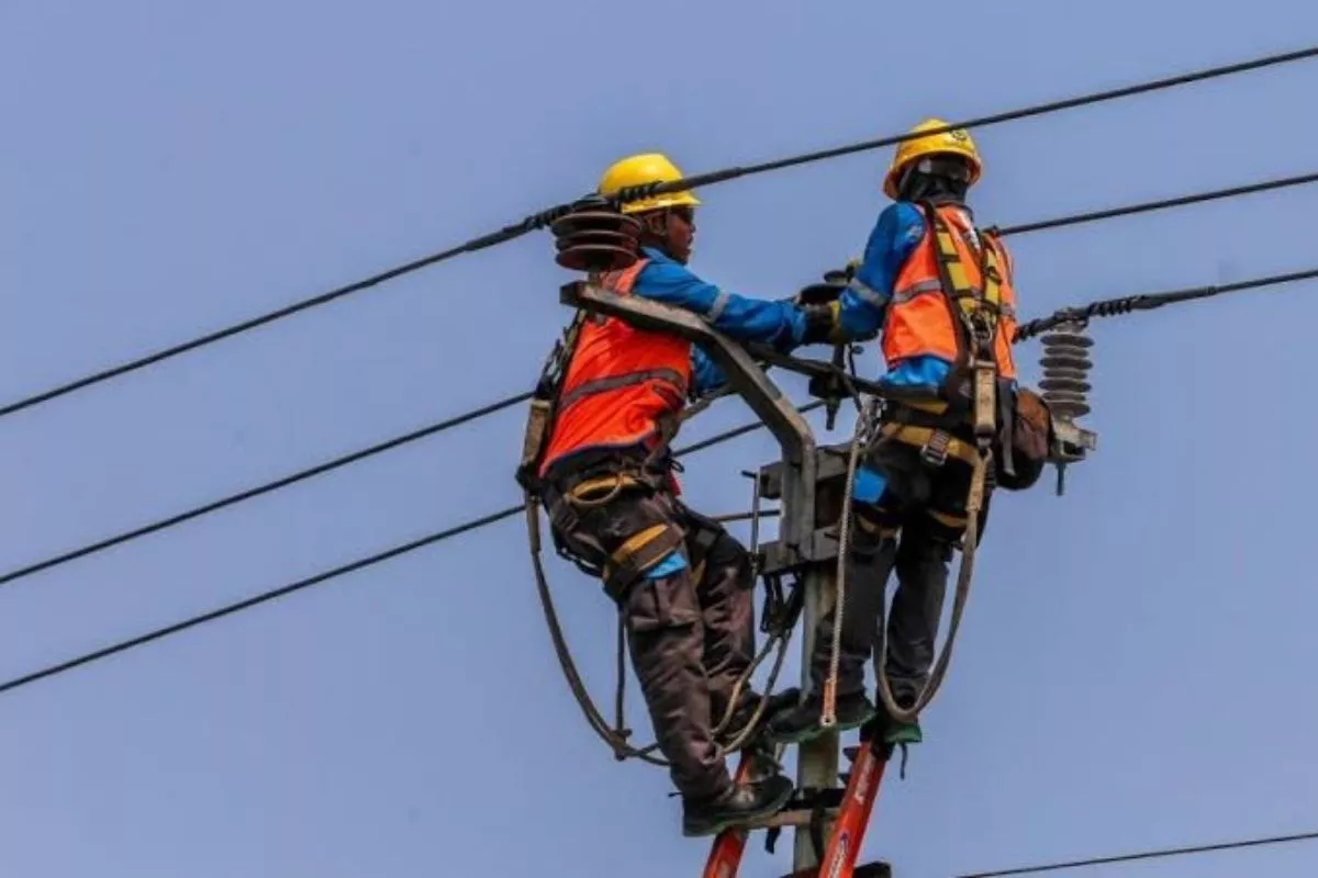 PLN UIP3B Sumatera Perkuat Listrik Riau Antisipasi Karhutla