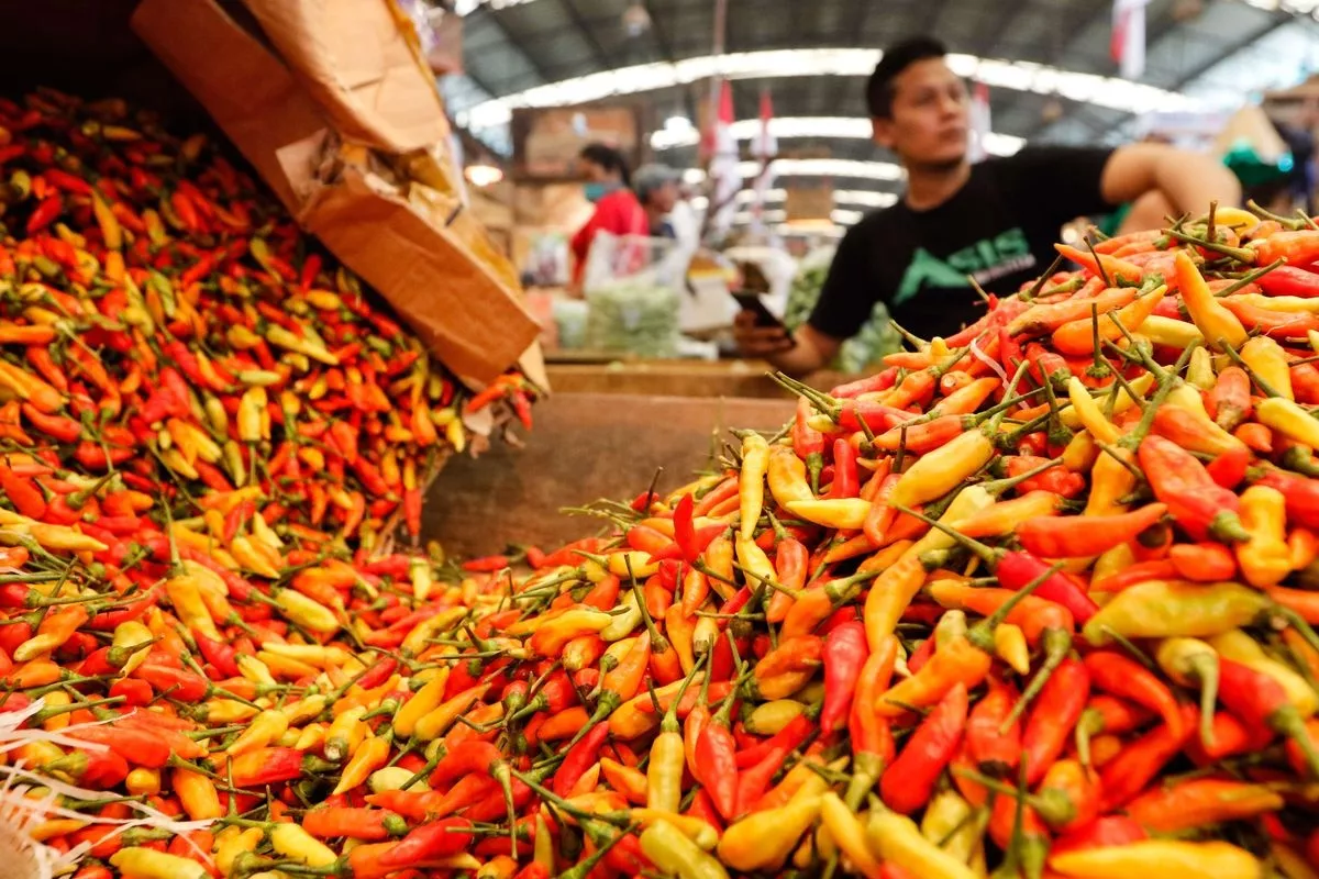 Harga Pangan 3 September 2026 Cabai Rawit Merah Melonjak Tinggi