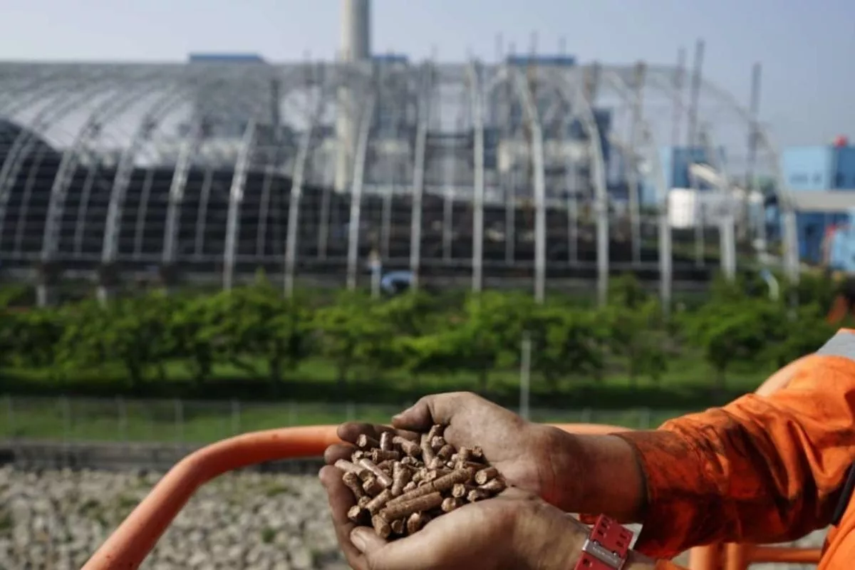 Kebijakan Cofiring Biomassa Diperkirakan Hanya Perpanjang Umur PLTU
