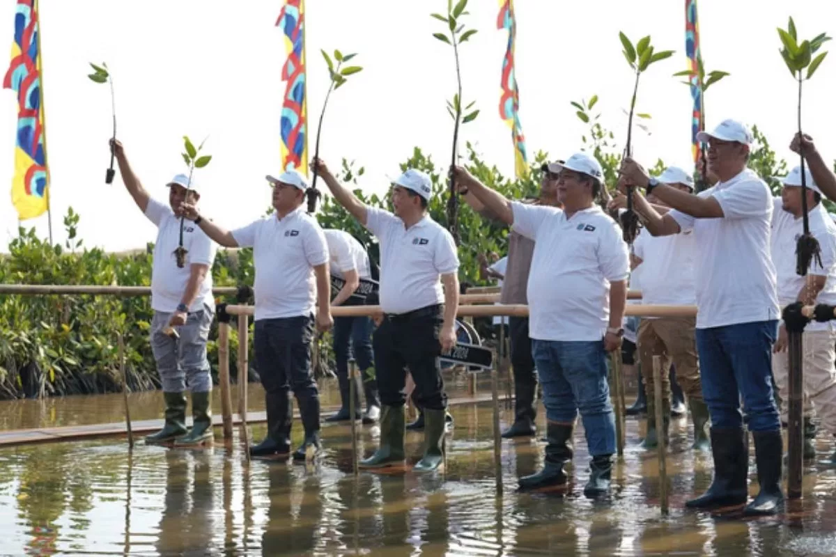 Hari Mangrove Sedunia: Pemprov DKI Tanam 21 Ribu Bibit di Pesisir
