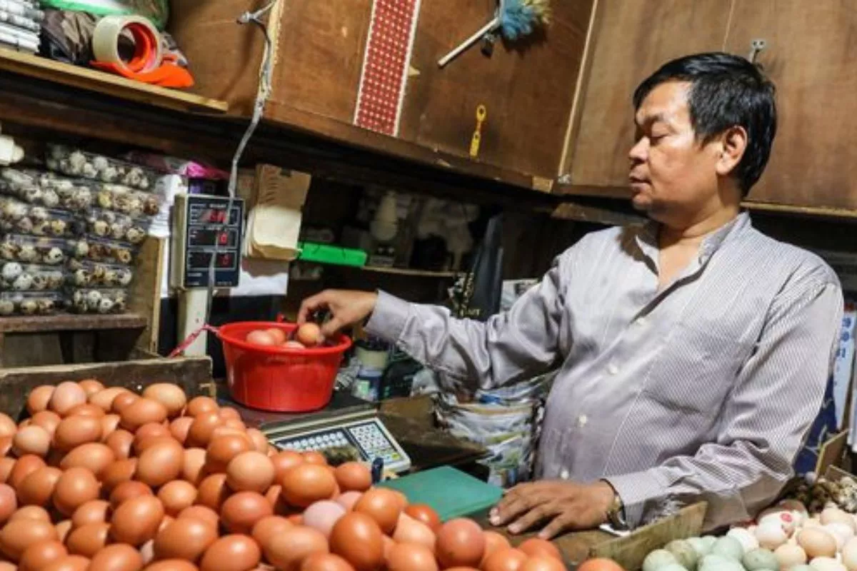 Tekan Harga Telur, Bapanas Siapkan Tambahan 150.000 Ton Jagung SPHP