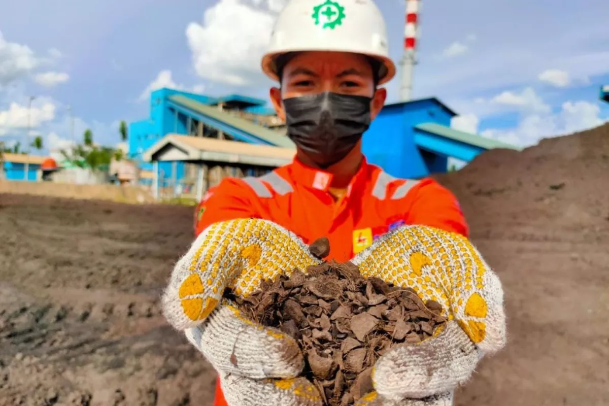 Dukung NZE, PLN EPI Inisiasi Bioenergi Sorgum di Gorontalo
