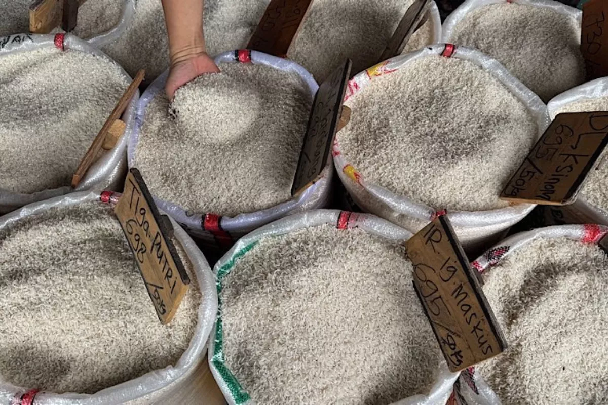 Harga Beras hingga Minyak Naik, Cek Sembako Jawa Timur Hari Ini