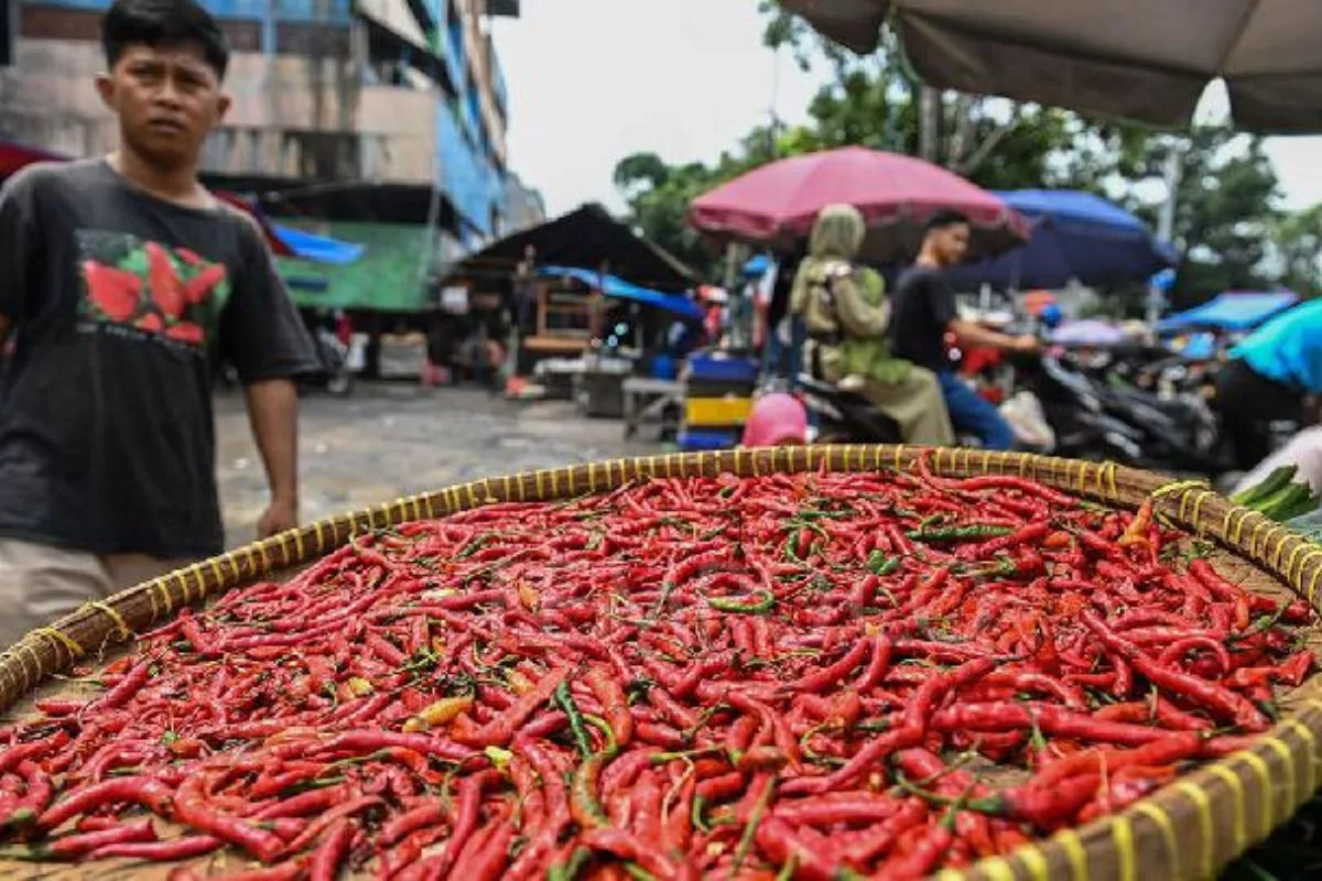 Inflasi Sumbar Tembus 4,12% Juli 2026, Cabai Merah Jadi Pemicu