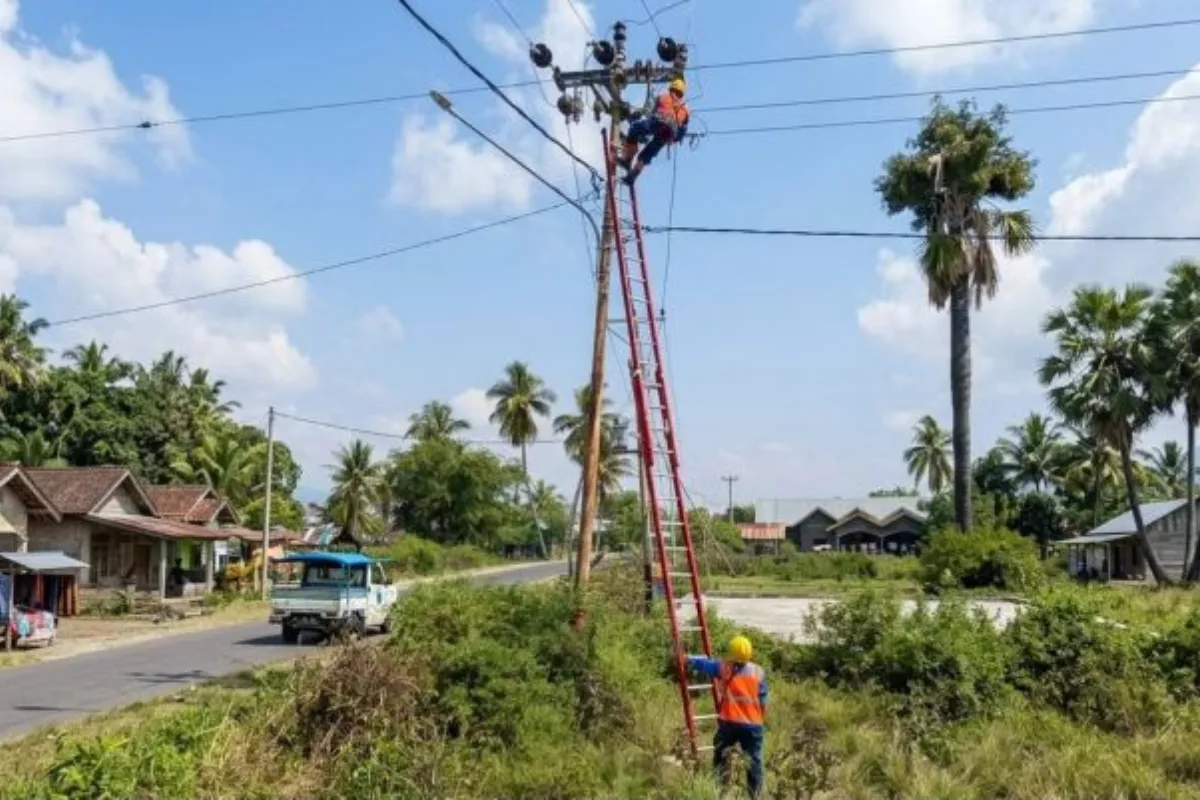 Gempa Flores: PLN Fokus Pulihkan Jaringan Distribusi Listrik