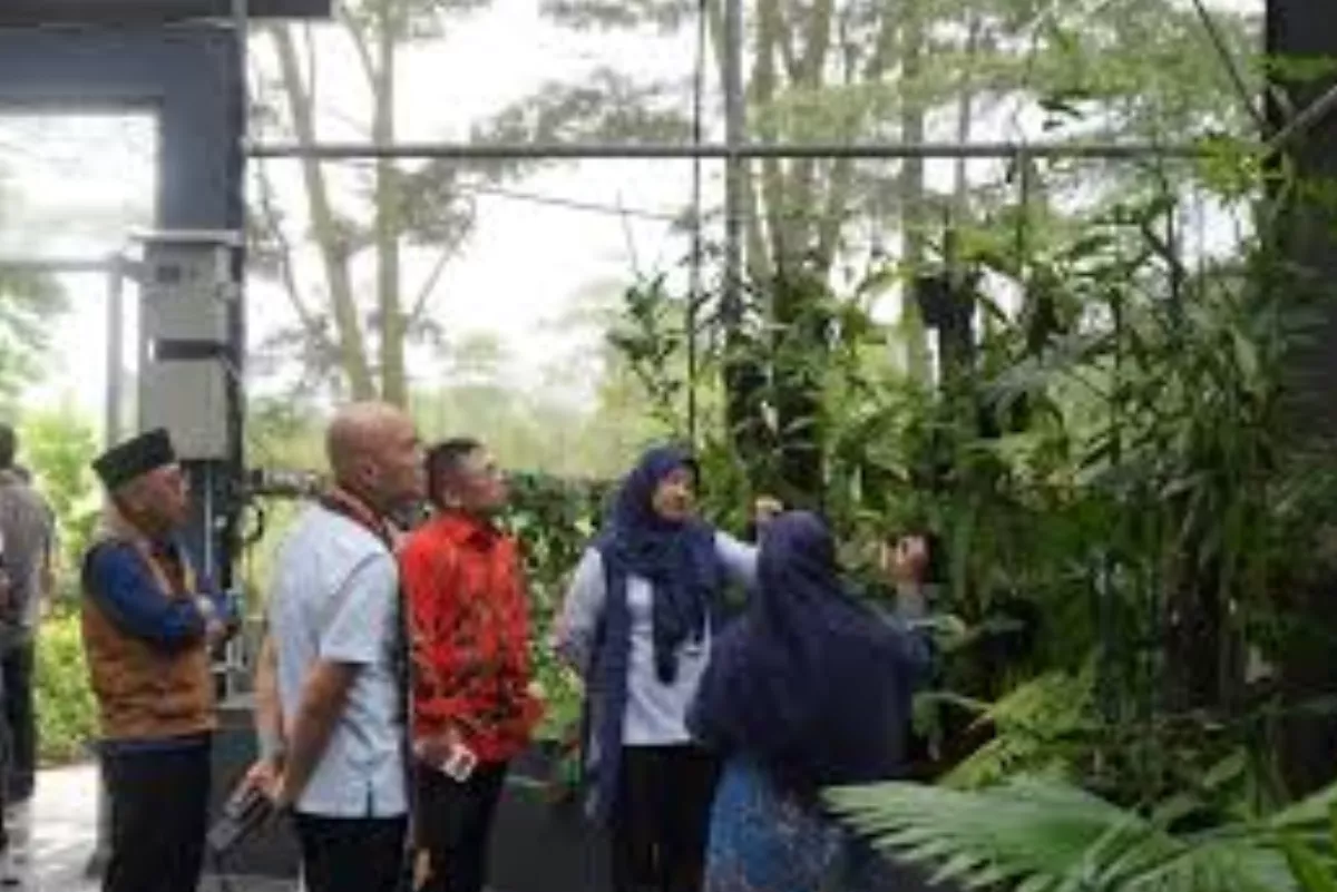Sinergi Itera-PLN Kembangkan Kaliandra dan Sorgum