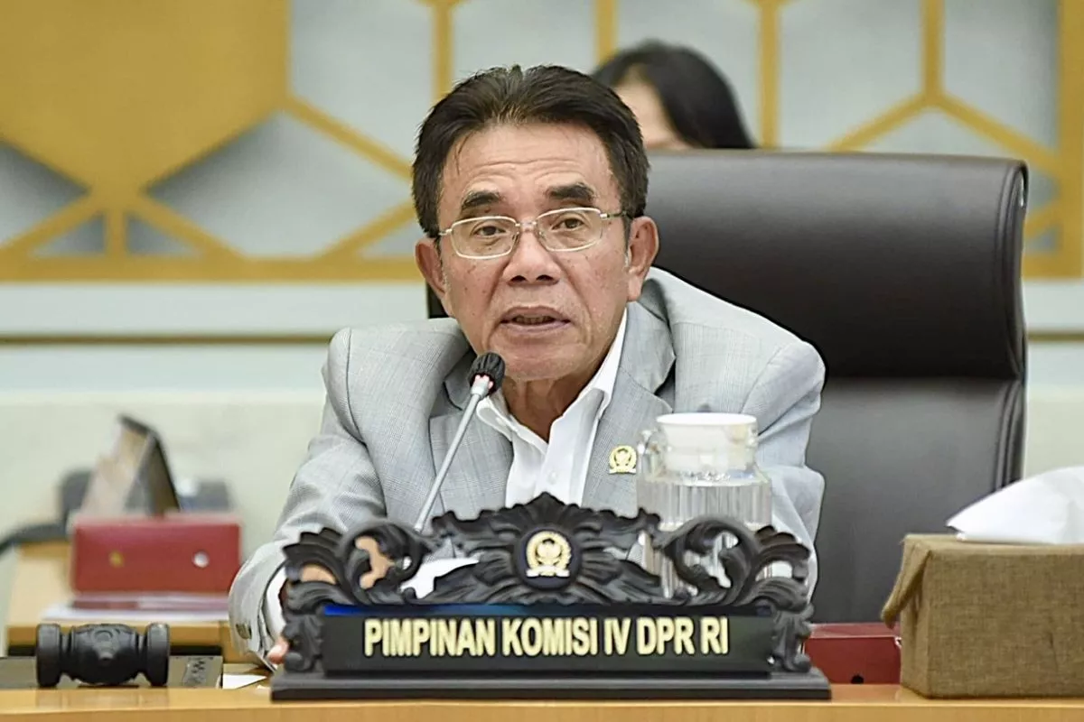 Dukung Jaga Rimba, Komisi IV DPR: Kelola Hutan dengan Benar dan Transparan