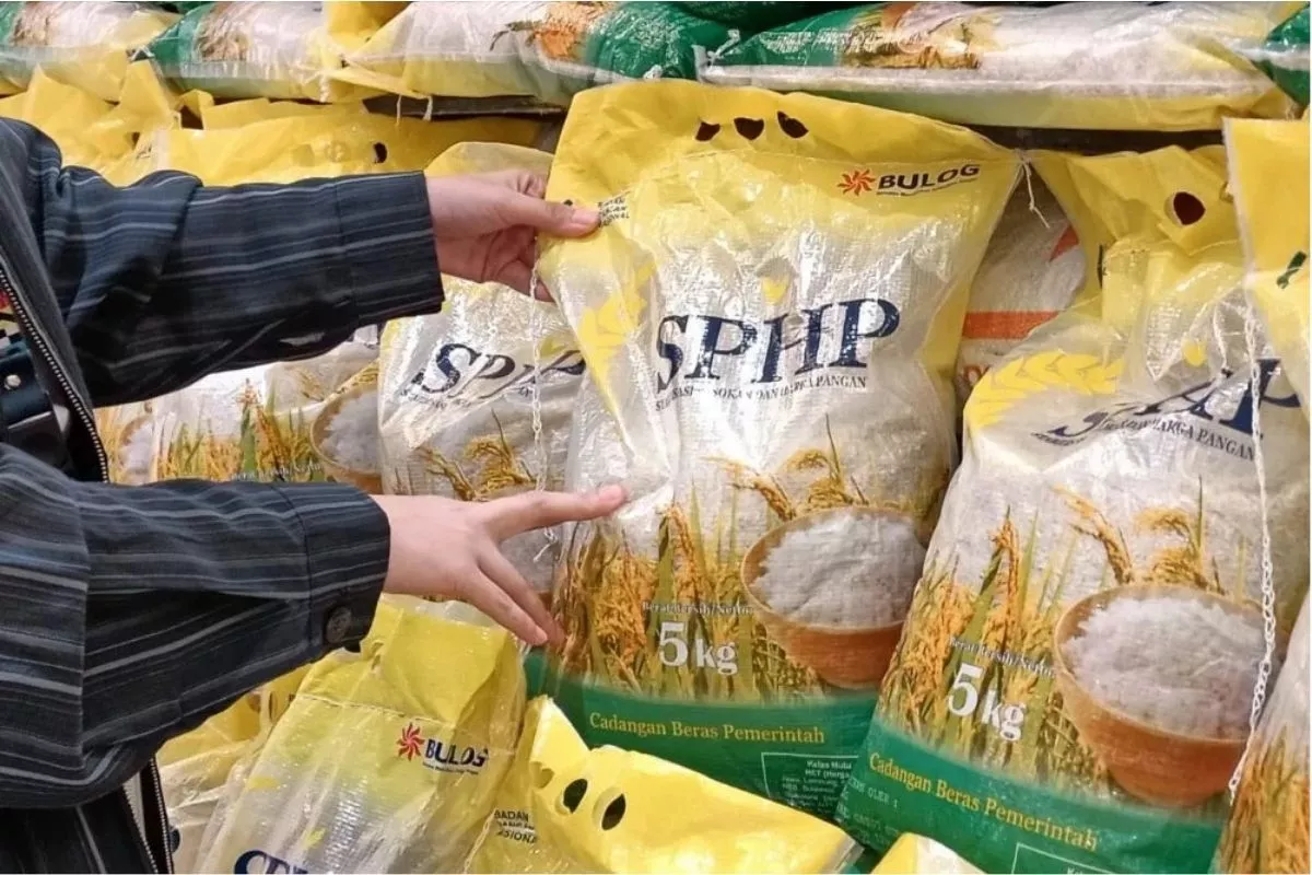 Penyebab Beras Premium Langka di Ritel Modern Saat Pasokan Melimpah
