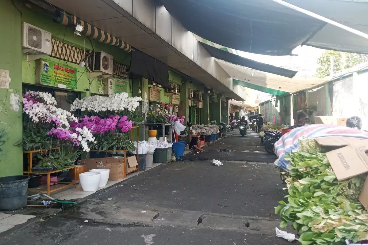 Ini Makna di Balik Jenis dan Warna Bunga Menurut Edukator Bunga