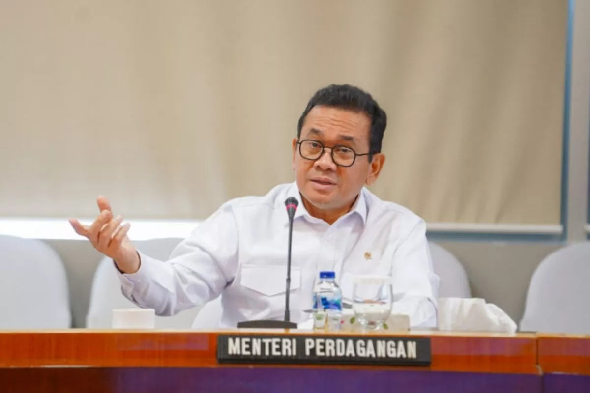 Pemerintah Pastikan Harga Minyakita Tidak Naik