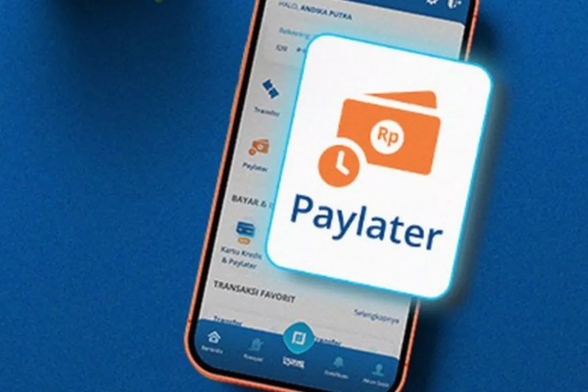 Kenali Risiko dan Keuntungan Fitur Paylater Sebelum Menggunakannya