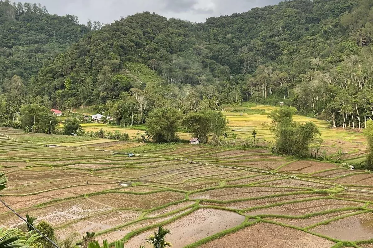 Legislator Dorong Penambahan Gudang Bulog di Dekat Sentra Petani
