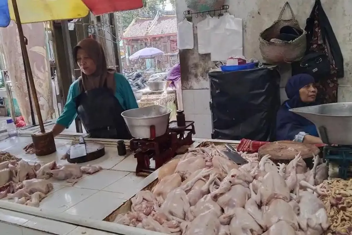 Harga Daging Ayam di Yogyakarta Anjlok Akibat Program MBG Libur