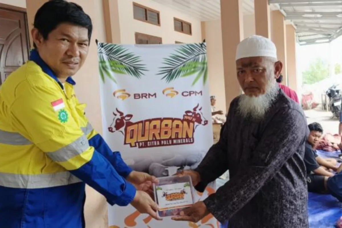 Iduladha 2026: PT CPM Tambah Kuota Sapi Kurban Jadi 45 Ekor
