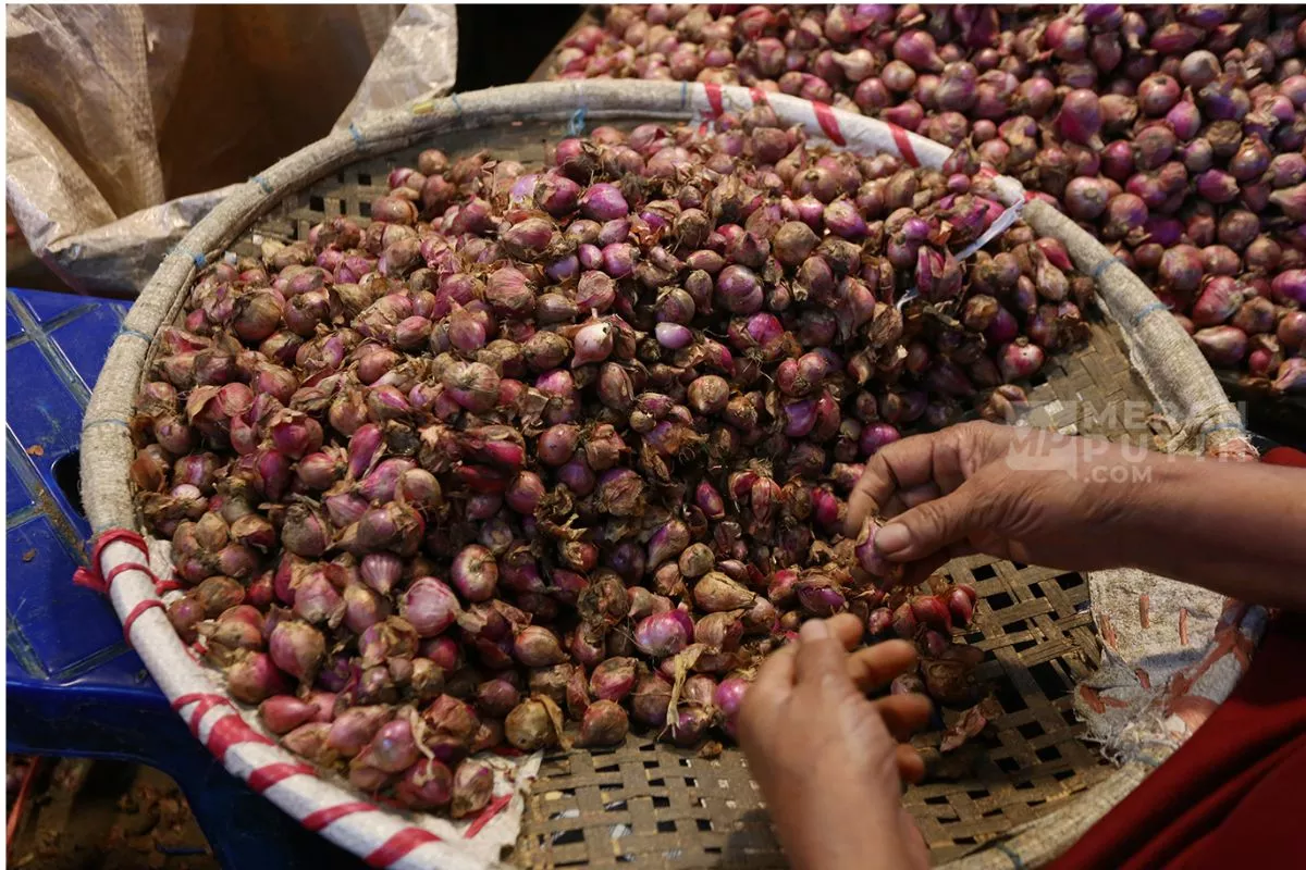 Daftar Harga Pangan Hari Ini: Cabai Melonjak, Bawang Melemah