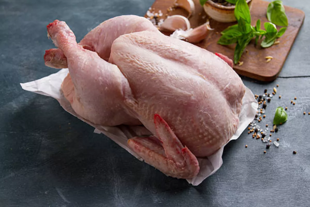 Kenaikan Harga Ayam dan DOC Dorong Prospek Industri Poultry