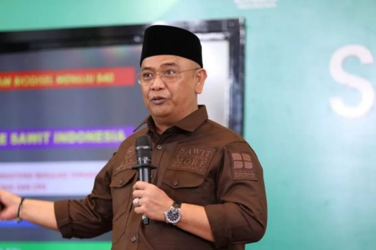 Dua Ancaman Utama Sawit Rakyat: Ganoderma dan Penurunan Harga TBS