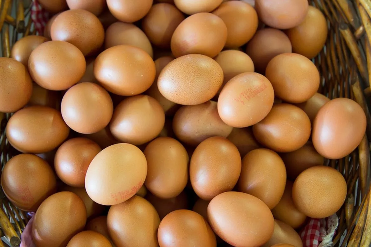 Harga Telur Ayam Rp29.750 per Kilogram Serta Bawang Merah Rp50.950