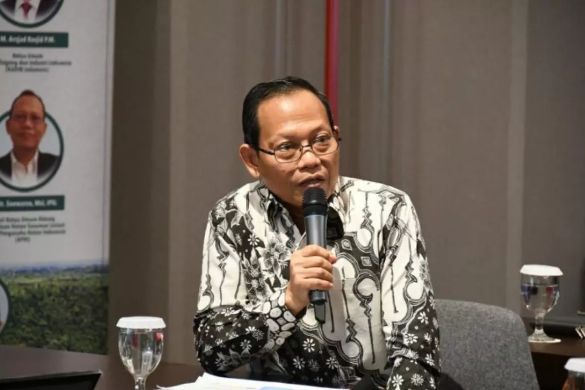 Pasar Karbon Kian Cerah, APHI Pacu Pemegang PBPH Tangkap Peluang