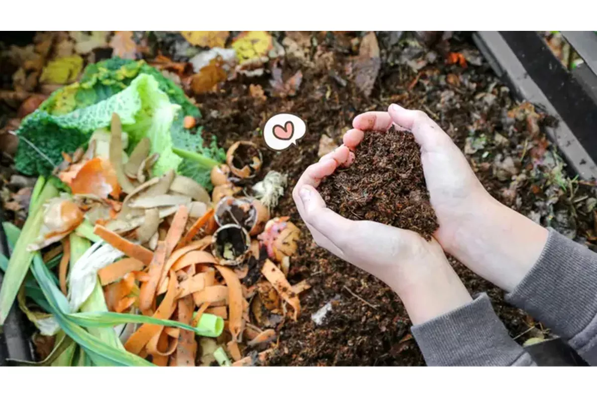 Tips Pupuk Kompos: Membuat pupuk kompos dari sisa sayuran dan daun