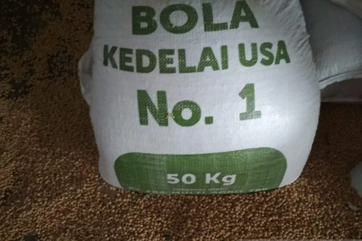 Harga Kedelai Impor Kudus Turun Menjadi Rp10.400 Meski Rupiah Melesu P