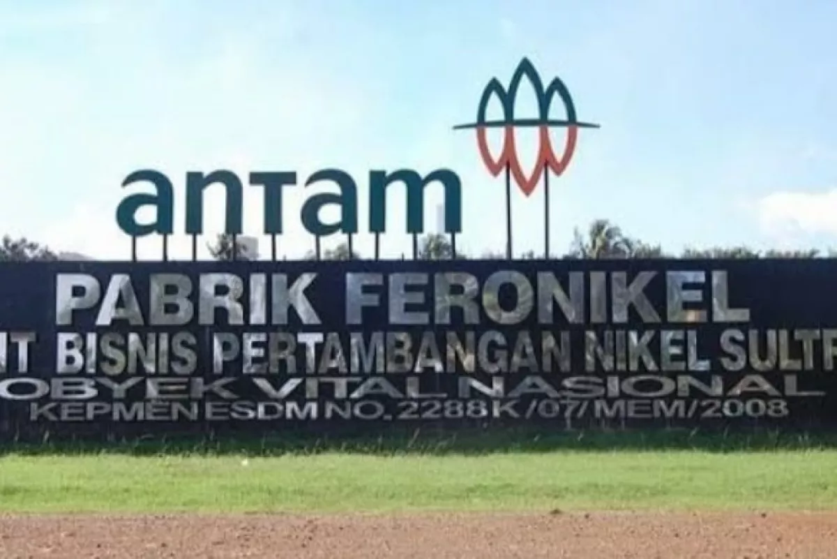 Antam Bersama Women On The Move 2026 Gelar Konservasi Laut