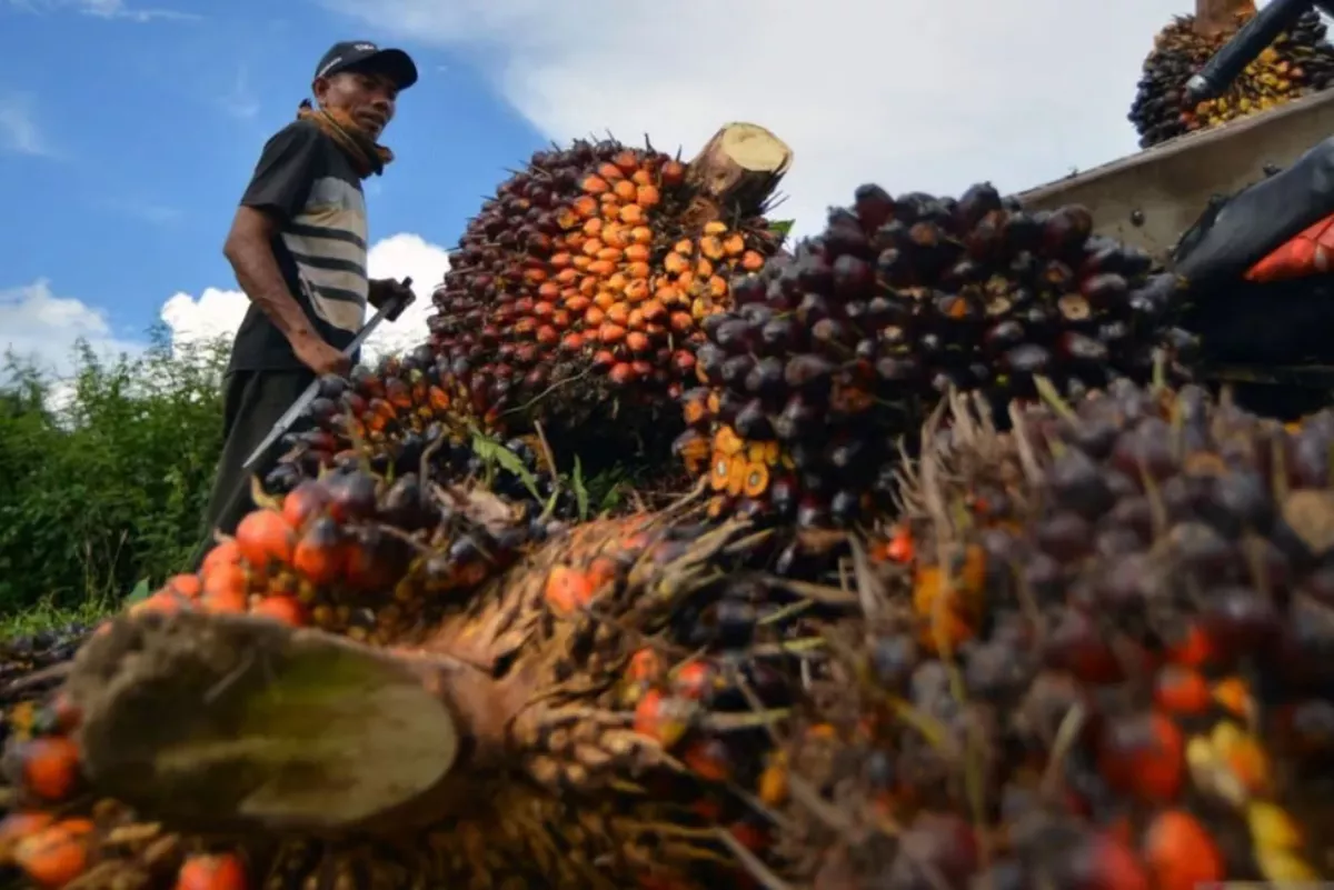 Keberhasilan Danantara Bukan dari Transaksi tapi Efek Fiskal