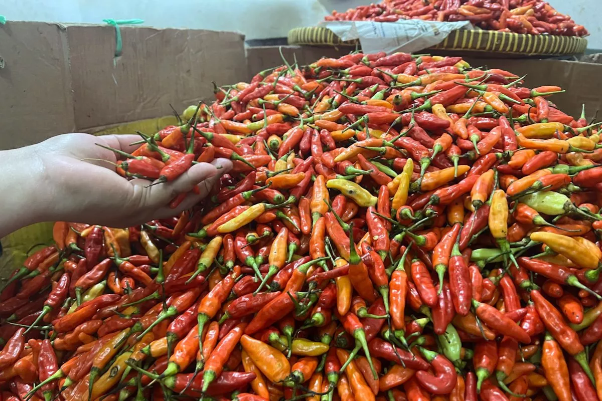 Update Harga Pangan: Cabai Rawit Rp45.150 dan Telur Ayam Rp24.000