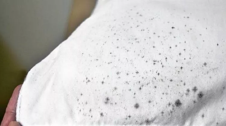  10 Cara Menghilangkan Jamur di Baju dengan Mudah dan Efektif