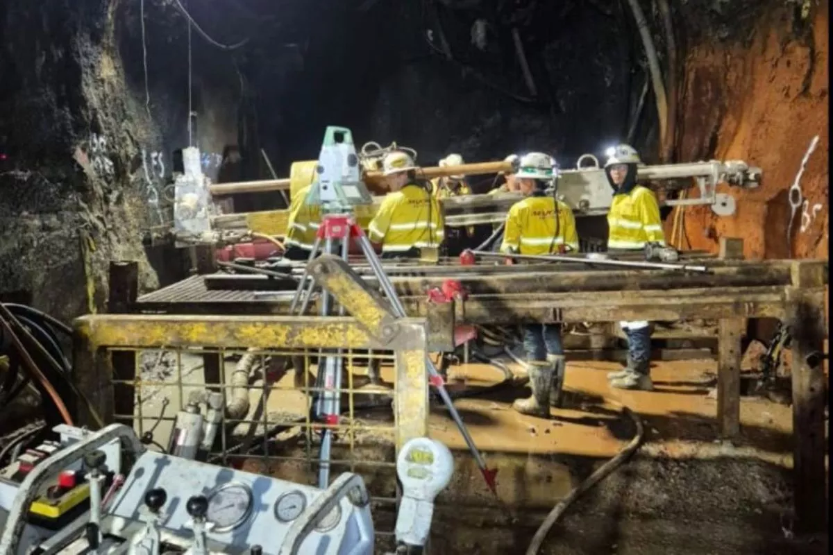 Tambang Kucing Liar Freeport Diproyeksi Beroperasi pada 2029