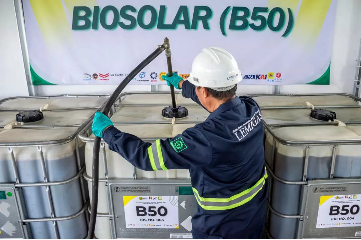 Petani Sawit Minta Pemerintah Tak Buru-Buru Terapkan Mandatori B50