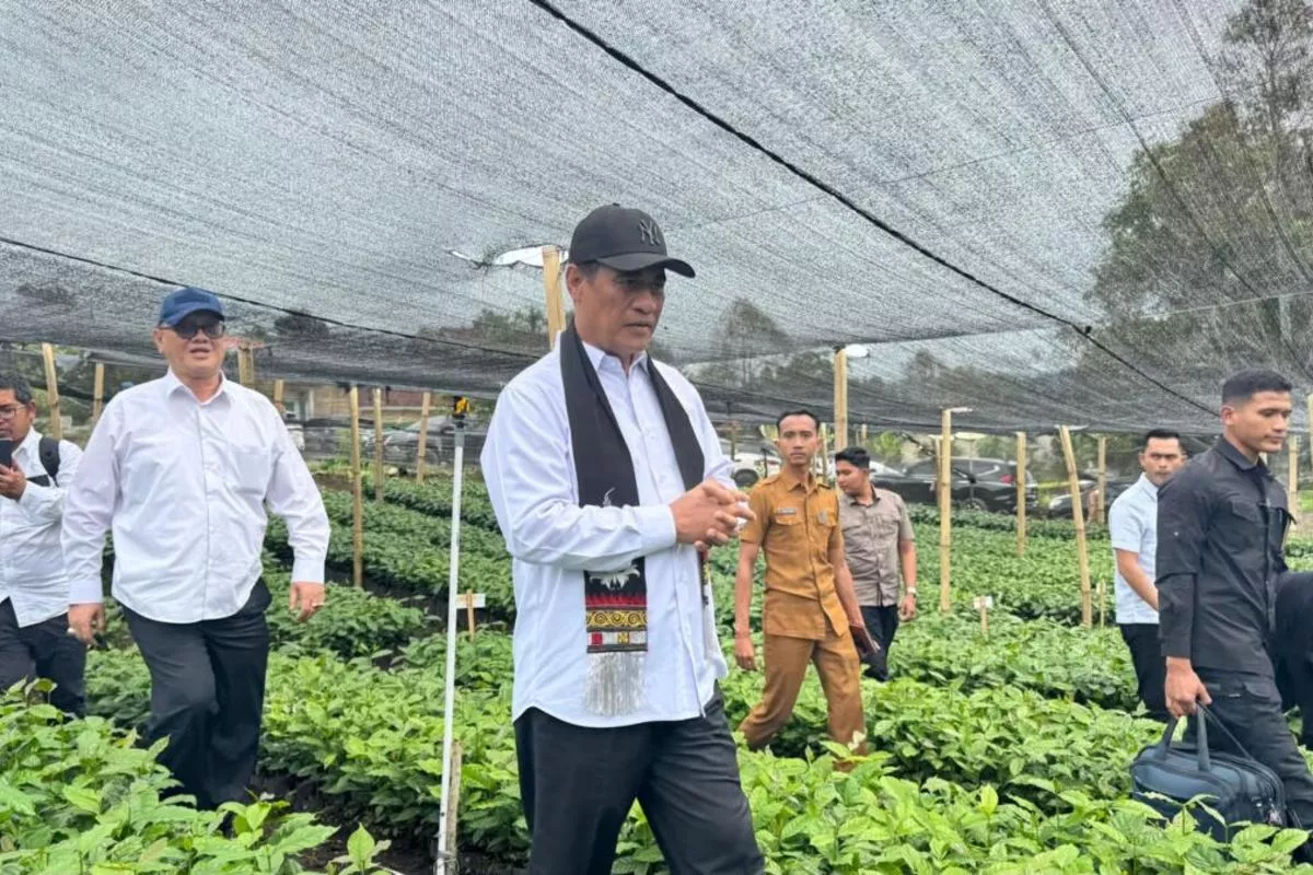 Ekspor Satu Pintu SDA Strategis Mulai Berlaku, Mentan Sebut Indonesia Bisa Jadi Penentu Harga