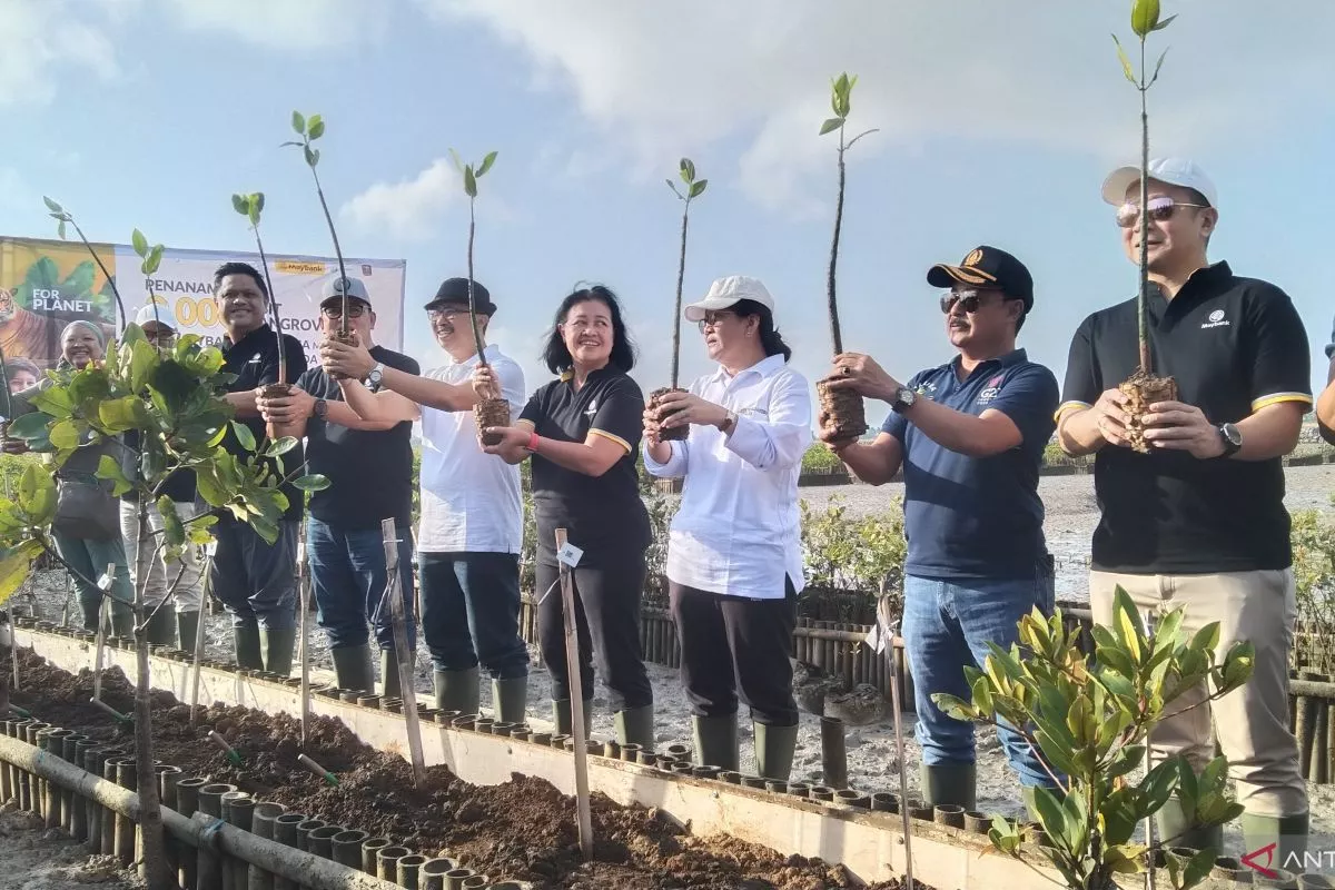Estimasi Transaksi Karbon di Bali Diprediksi Capai Rp1,7 Triliun