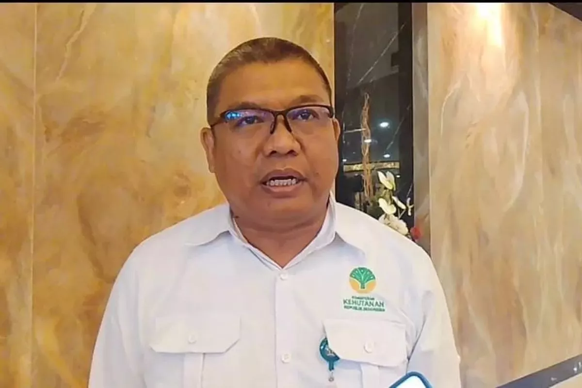 Kemenhut Sigap Tangani Konflik Beruang Madu di Riau Demi Warga Selamat