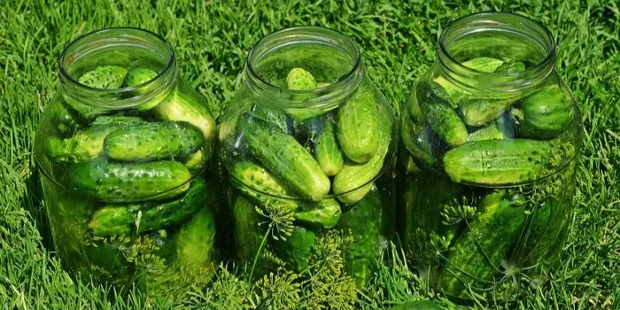 Rekomendasi 5 Cara Kreatif Mengolah Timun Jadi Menu Sehat Dan Praktis