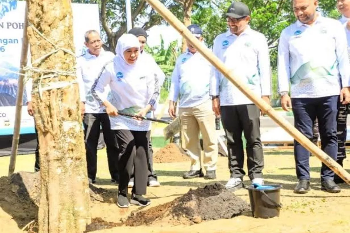 Hari Mangrove Sedunia: Khofifah Ajak Jaga Pesisir