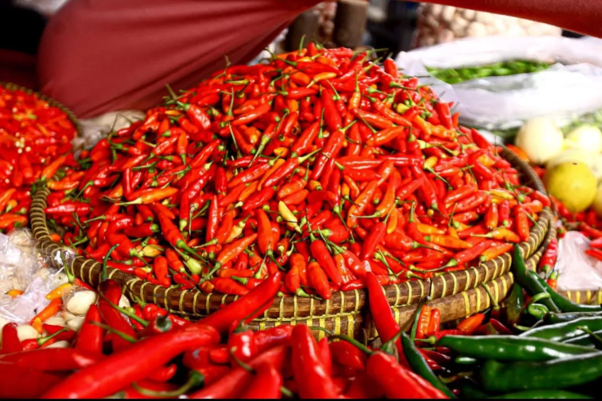 Update Harga Pangan Hari Ini, Cabai Rawit dan Telur Ayam Masih Tinggi