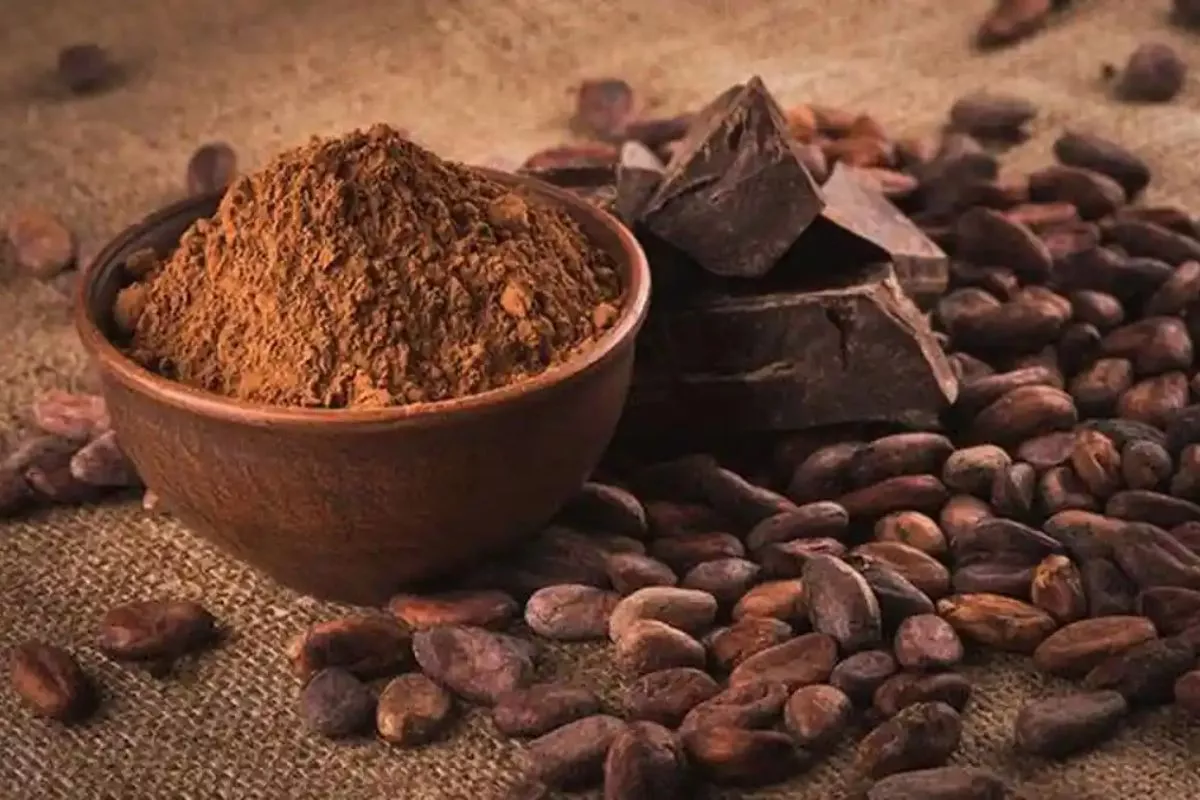 Harga Kakao di Aceh Tenggara Naik, Kini Tembus Rp 43.000 per Kg