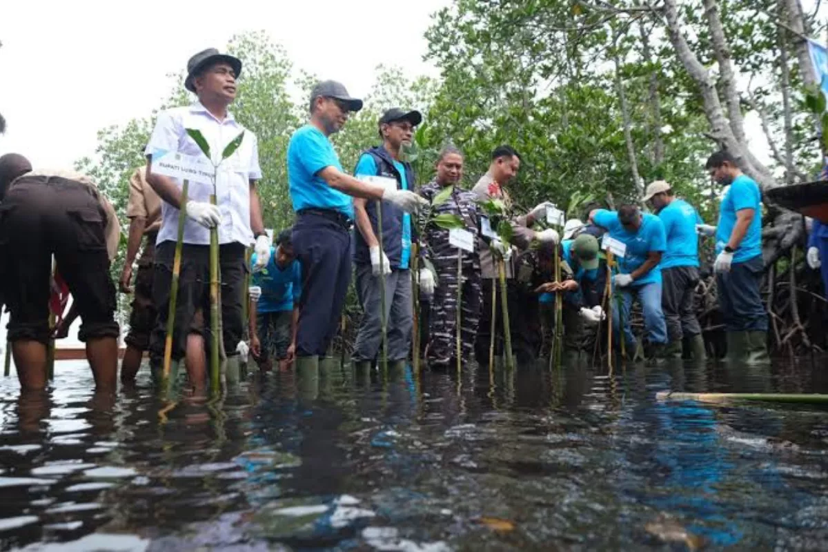 Momen Hari Mangrove Sedunia BNI Dorong Ekonomi Pesisir Berkelanjutan