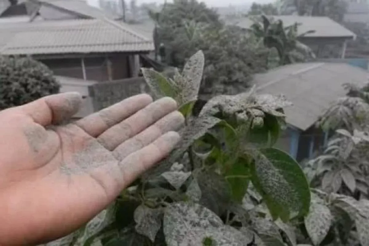 Siasat Kurangi Paparan Abu Vulkanik dan Debu saat Kemarau