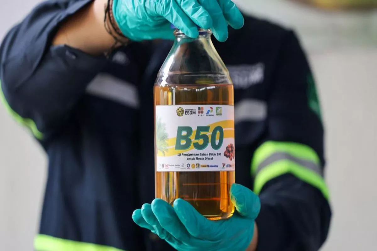 Indonesia Butuh Kebun Energi Khusus Demi Biodiesel B50